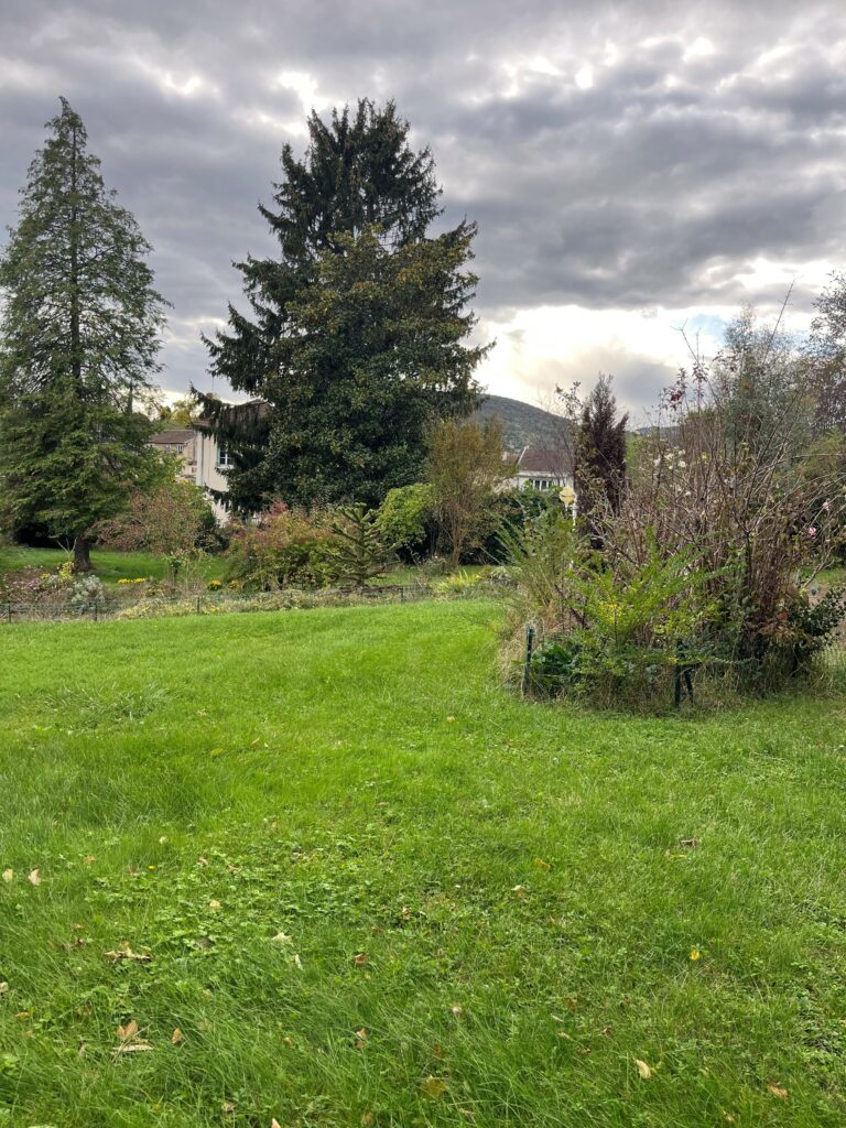 jardin fontaines saint martni